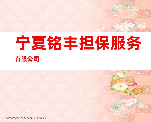 宁夏铭丰担保服务有限公司